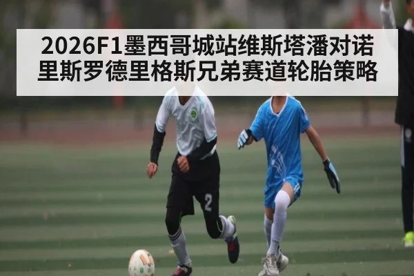 2026F1墨西哥城站维斯塔潘对诺里斯罗德里格斯兄弟赛道轮胎策略